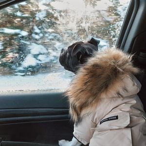 ❤️ Down Filled Dog Parka With Faux Fur Hood 🇨🇦 ❄️